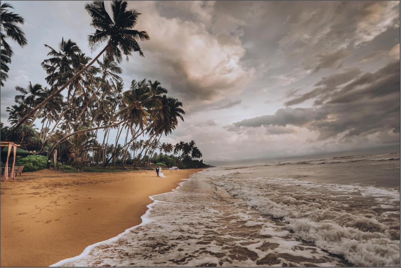 Clive Garden Beach Wadduwa Zewnętrze zdjęcie